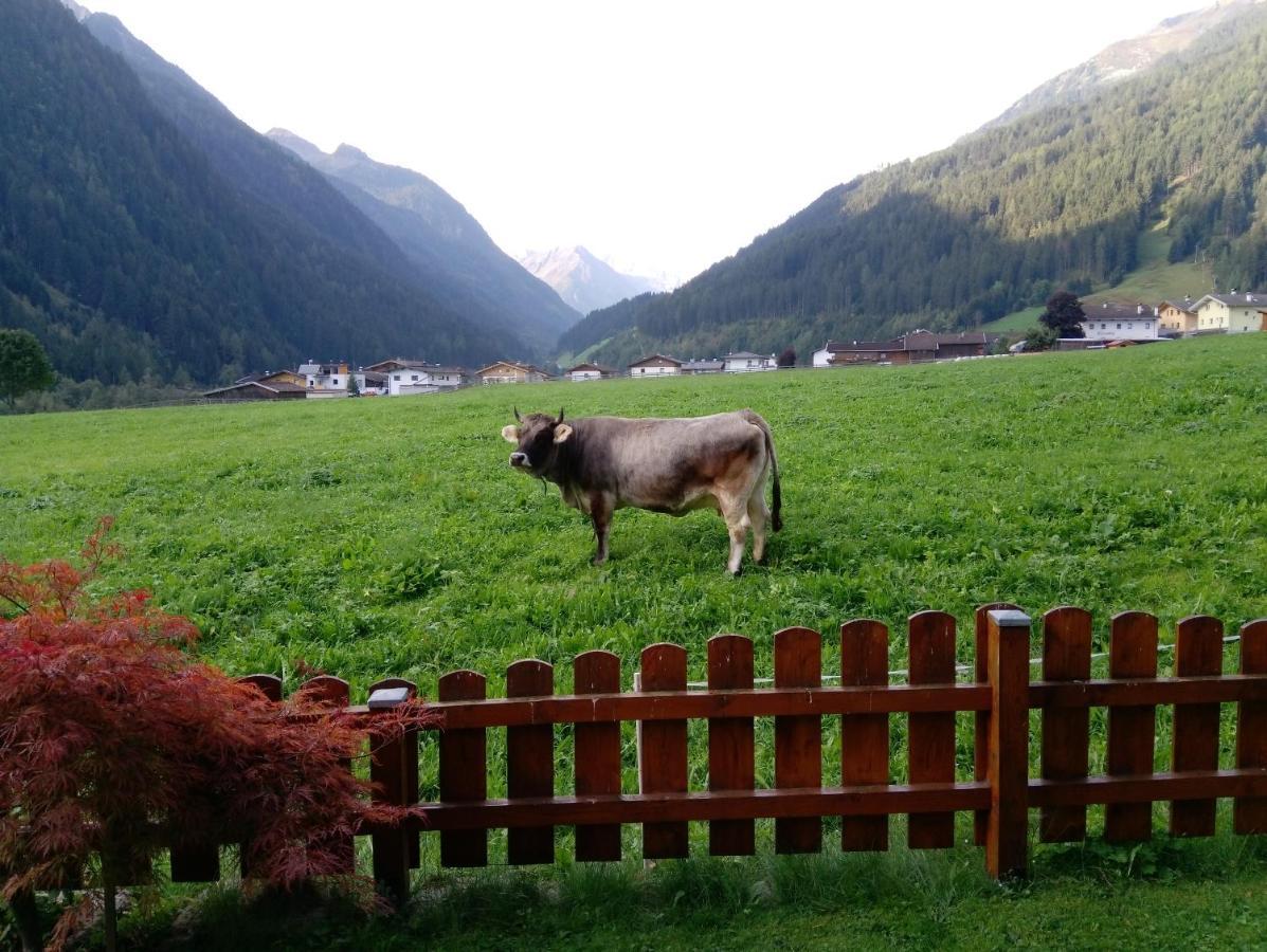 Ferienwohnung Landhaus Müller Neustift im Stubaital Exterior foto